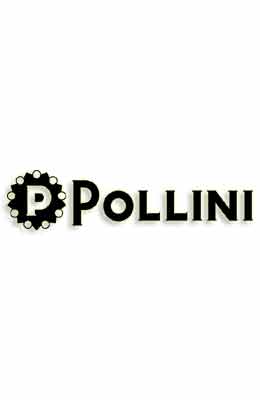Pollini