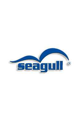 Seagull
