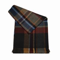 Winter  Scarf Pierre Quioc Checked Blue