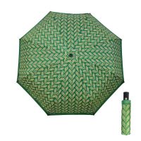 Ομπρέλα γυναικεία σπαστή αυτόματο άνοιγμα - κλείσιμο πράσινη Pierre Cardin Automatic Open - Close Folding Umbrella Braid Green