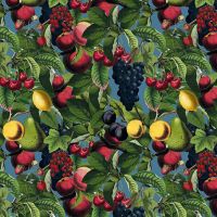 Shopping Easy Bag Cedon 2.0 Fruits