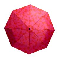 Women's Automatic Open - Close Folding Umbrella Cedon Primrose