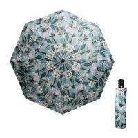 Women's Automatic Open - Close Folding Umbrella Cedon Iris