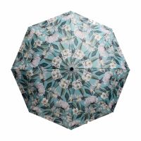 Women's Automatic Open - Close Folding Umbrella Cedon Iris