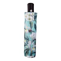 Women's Automatic Open - Close Folding Umbrella Cedon Iris