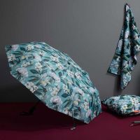 Women's Automatic Open - Close Folding Umbrella Cedon Iris