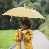 Kids Manual  Umbrella Trixie Mr. Lion