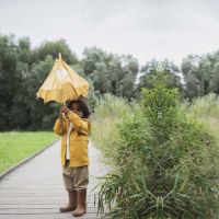 Kids Manual  Umbrella Trixie Mr. Lion