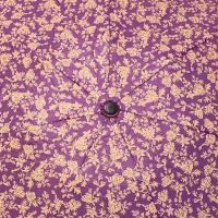 Ομπρέλα γυναικεία mini σπαστή χειροκίνητη φλοράλ μωβ PIerre Cardin PC-7235