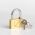 Padlock Key Travel Blue Gold 022