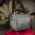 Women's Shoulder Bag Gabol Central Grey