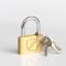 Padlock Key Travel Blue Gold 022