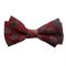 Kids' Mini Bow Tie Victoria Paisley Bordeaux