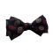 Kids' Bow Tie Dark Victoria Blue With Paisley