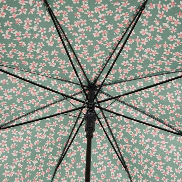 Women's Long Automatic Stick Umbrella Gotta Floral Green